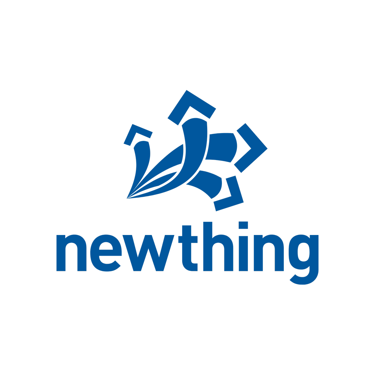 NewThing Network